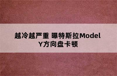 越冷越严重 曝特斯拉Model Y方向盘卡顿